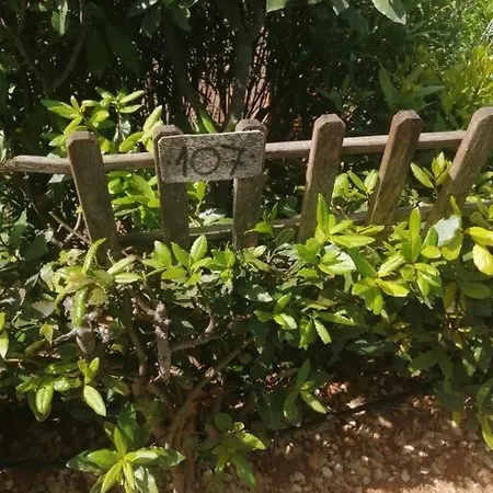 Il Plumbago Con Piscina 公寓 卡萨莱马里蒂莫